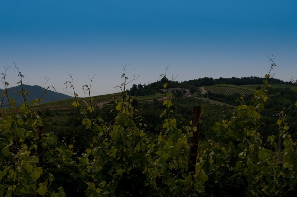B&B Cascina Santa גאבי מראה חיצוני תמונה