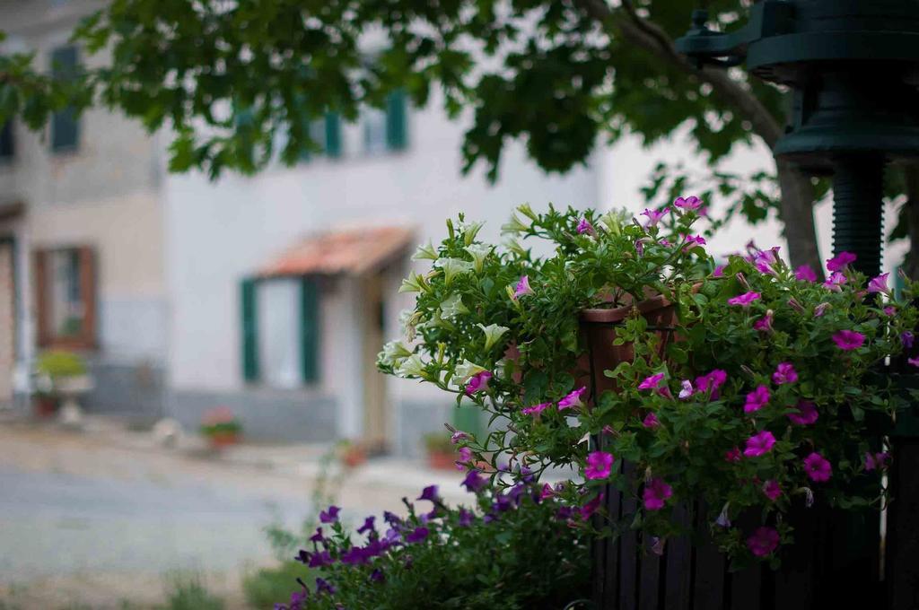 B&B Cascina Santa גאבי מראה חיצוני תמונה