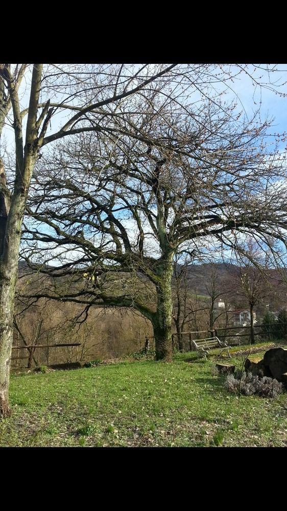 B&B Cascina Santa גאבי מראה חיצוני תמונה